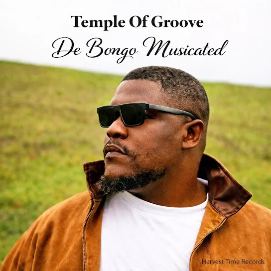 De Bongo Musicated  Ngawe (Instrumental) ft. Athenkosi Gqweta Mp3 Download