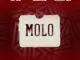 JL SA  MOLO ft. Msongi & COON SA Mp3 Download