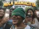Justin 99  Hola Mamacitta Ft. Mellow & Sleazy Mp3 Download