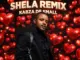 Kabza De Small  Shela Remix Mp3 Download