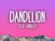 LatinHype  Ella Langley  Dandelion Mp3 Download