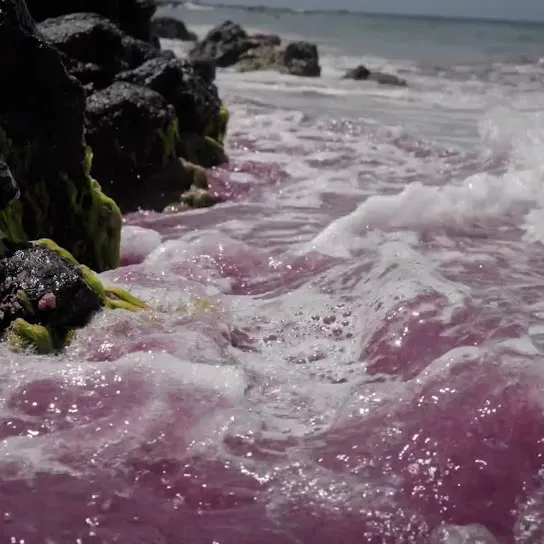 LUCKI  Not So Virgo of You Mp3 Download