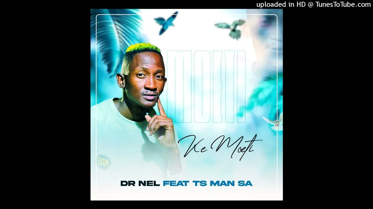 Mr Des  Dr Nel  Ke Moeti Feat TS MAN SA Ft. Ann Th3 Voxa & Calvin The General Mp3 Download