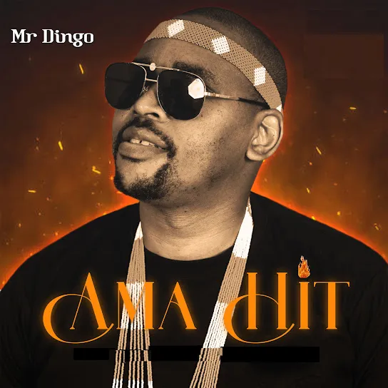 Mr Dingo  Ama Hit Mp3 Download