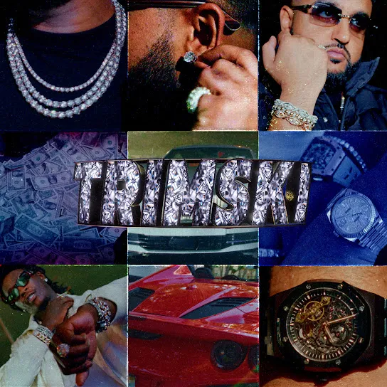 NAV Trimski ft. Young Thug Mp3 Download