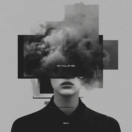 NØLIVE I Promise I Wont Cry Mp3 Download