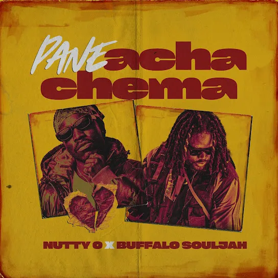 Nutty O  Pane Acha Chema ft. BUFFALO SOULJAH Mp3 Download