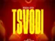 Nyasha David  Tsvodi Mp3 Download