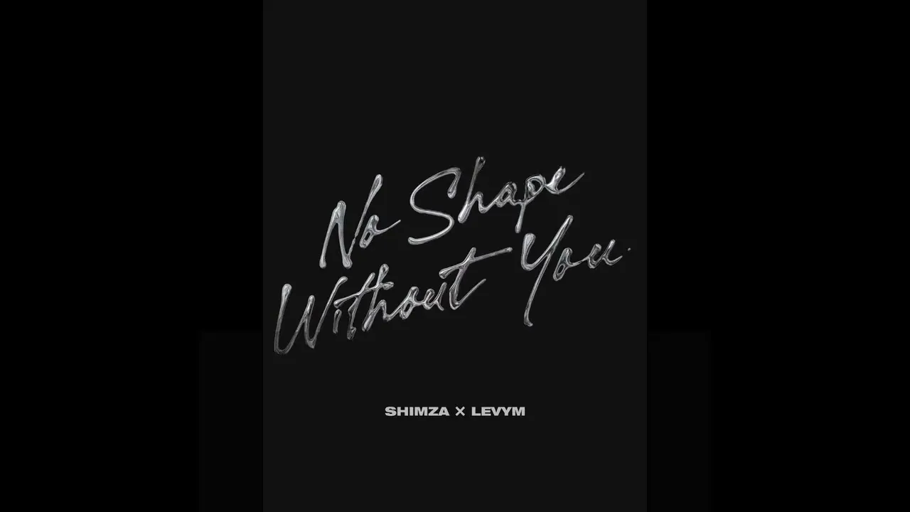 Shimza & LevyM  No Shape Without You (Visualizer) [Helix Records] Mp3 Download