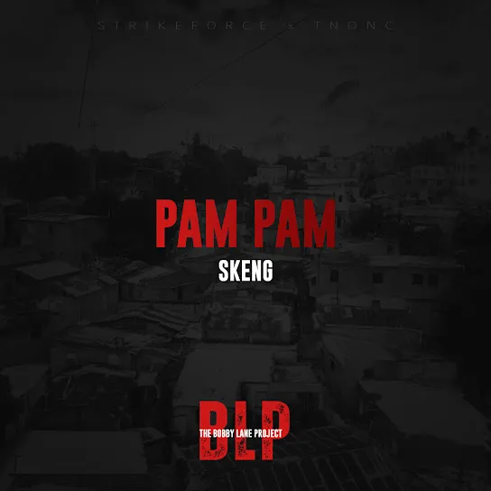 Skeng  Pam Pam Mp3 Download