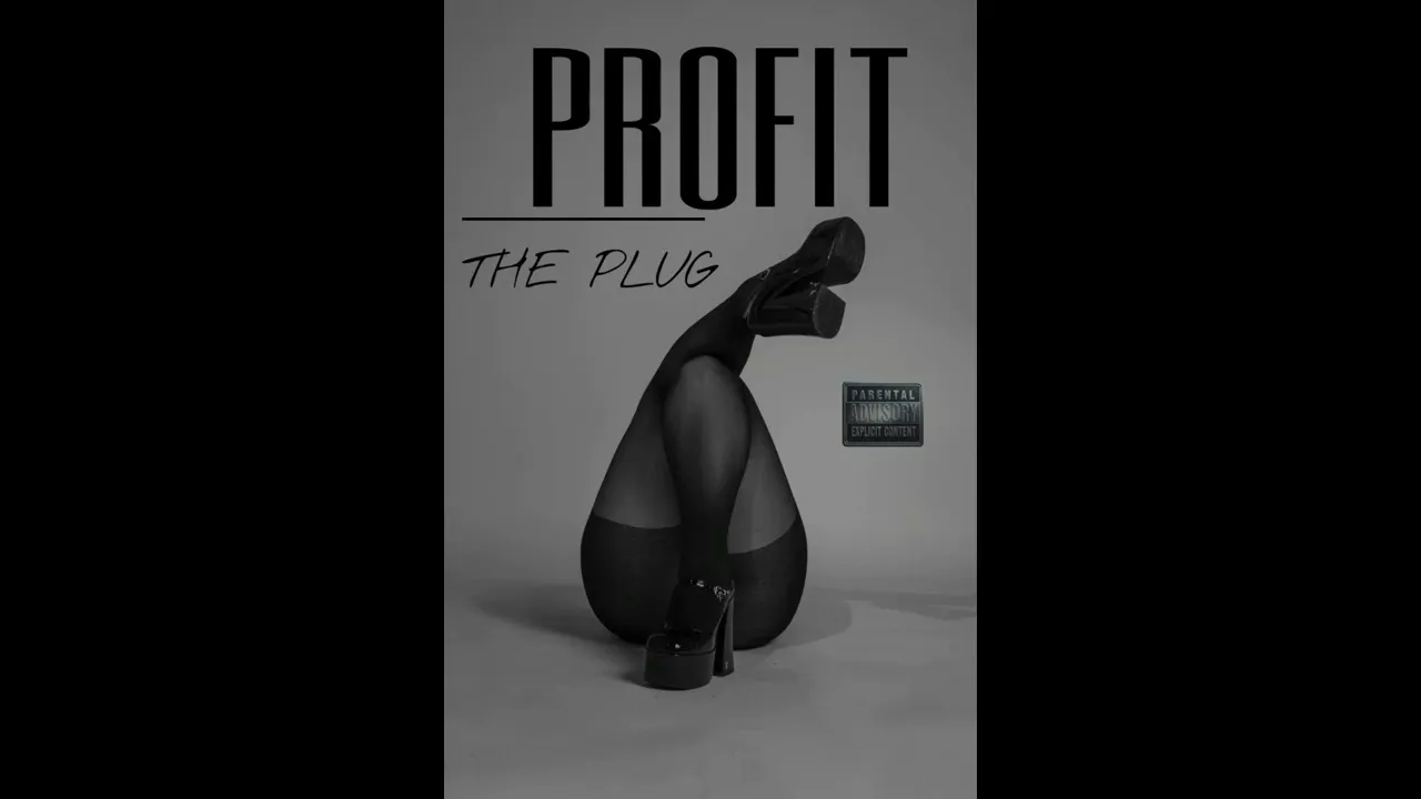 The Plug  PROFIT Mp3 Download