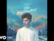 Troye Sivan  SWIMMING POOLS Mp3 Download
