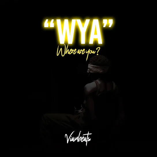 VIANBEATS  WHERE ARE YOU Mp3 Download