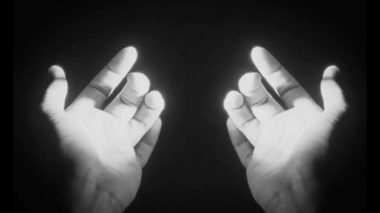 Willowsmith  WILLOW  ear to the cocoon Mp3 Download