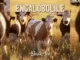 Blacktee  Engalobolile (Remake) Mp3 Download