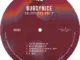 Buddynice  Selections Vol 2 (DJ Mix) Mp3 Download