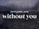 david guetta  without you ft. usher Mp3 Download