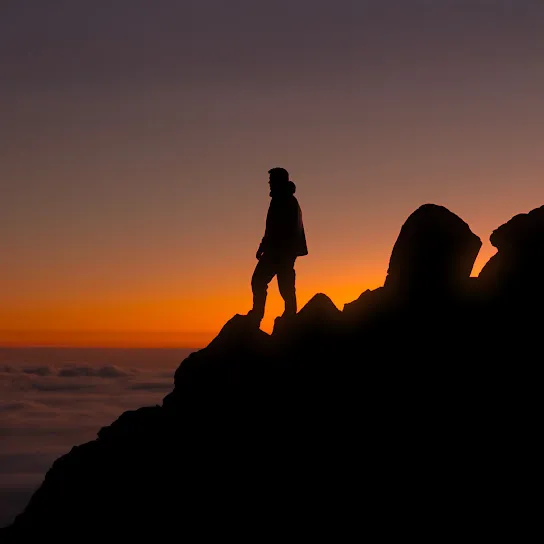 Martin Garrix  Catharina Mp3 Download