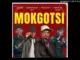 Mokgotsi  Sizwe Mchacho Mp3 Download