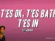 Ottawan  T'es O.K. Mp3 Download