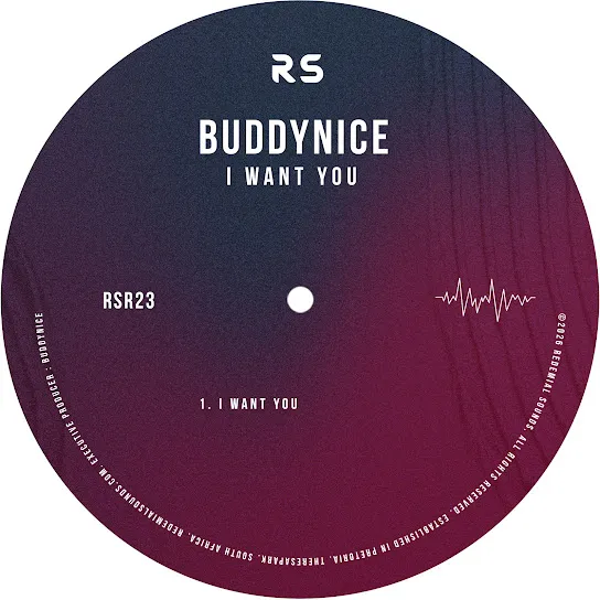 Buddynice  I Want You ft. Nkosinathi Phakathi Mp3 Download