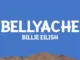 Dan Music  @BillieEilish  Bellyache (Lyrics) Mp3 Download