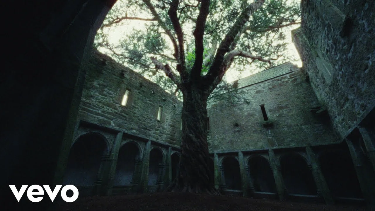 Dermot Kennedy Wasted Mp3 Download