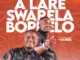MAREDI MAREDI  ALARE SWARELA BOPHELO Mp3 Download