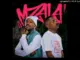 Mzansi  Mzala siyakwaz  Zee nxumalo shakes and less Mp3 Download