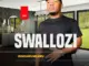 Swallozi  Lungihlukumezile Uthando Mp3 Download