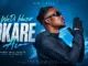 The Real Lefa Vibes  WaDi Bhozza okare Ai  Tribby WaDi Bhozza feat De Nikeiyz Mp3 Download