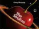 The Strokes  Going Shopping Mp3 Download
