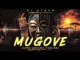 Dj Stavo  MUGOVE (Afro Sungura Version) | DJ STAVO Mp3 Download
