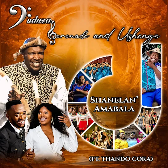 Duduza Serenade Shanelan'amabala Ft. USHENGE & Thando Coka Mp3 Download