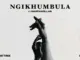 Soa Mattrix  Soa Mattrix & Bassie  Ngikhumbula feat. Khathapillar Mp3 Download