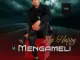 UMengameli  Syofela othandweni Ft. Makhelwane & Nosipho Mp3 Download