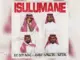 We Dem Boyz, Assiye Bongzin & Naitor  Isulumane Mp3 Download