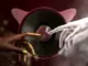 Witness the funk  Mawungekho  Witness The Funk  ft uZondi (Visualizer) Mp3 Download