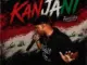 FlvccoTee  Kanjani Ft. Phoenix SA Mp3 Download