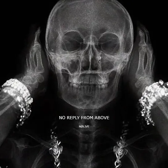 NØLIVE See You in My Dreams Mp3 Download