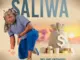 Saliwa  uMaShabalala ft. iNdoni Mp3 Download
