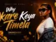 Shandesh & Focalistic  Why Okare Keya Timela Mp3 Download