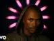 Steve Lacy  the feeling Mp3 Download